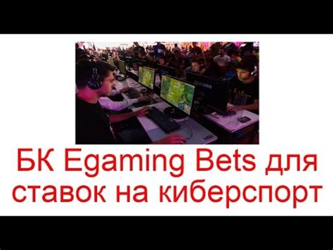 egamingbets erfahrung